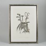 1628 5046 LITOGRAPH IN C..